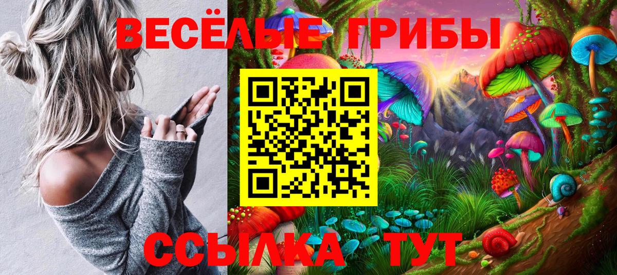 Галлюциногенные грибы Cubensis Чернушка