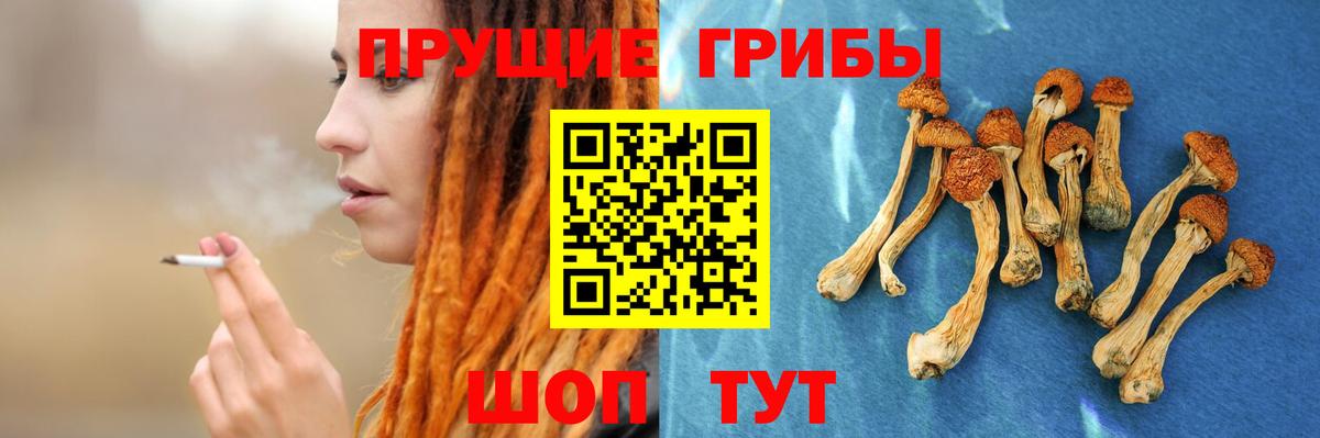 Галлюциногенные грибы мухоморы  Псилоцибиновые грибы мухоморы  Чернушка  Вход с VPN 